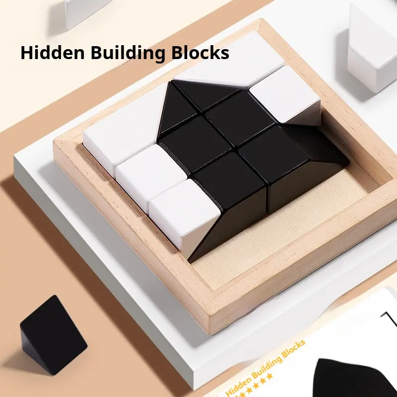 Hidden Blocks Brain Builder